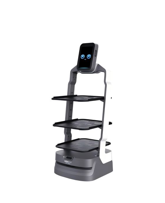 LuckiBot Pro - Robot de livraison marketing